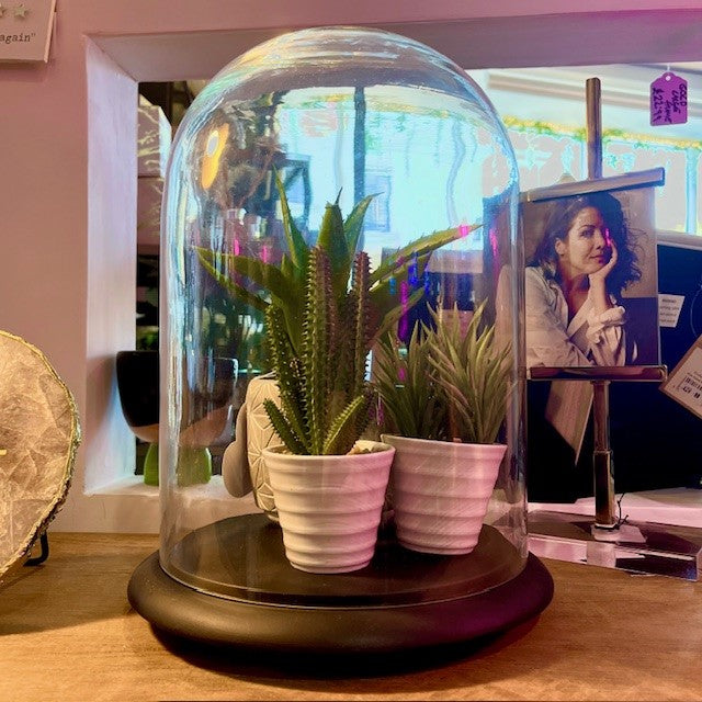 Black Bell Jar