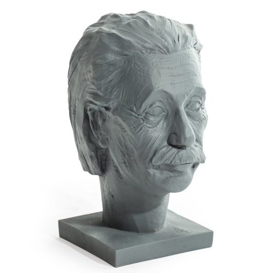 Grey Einstein Ornament / Headphone Holder
