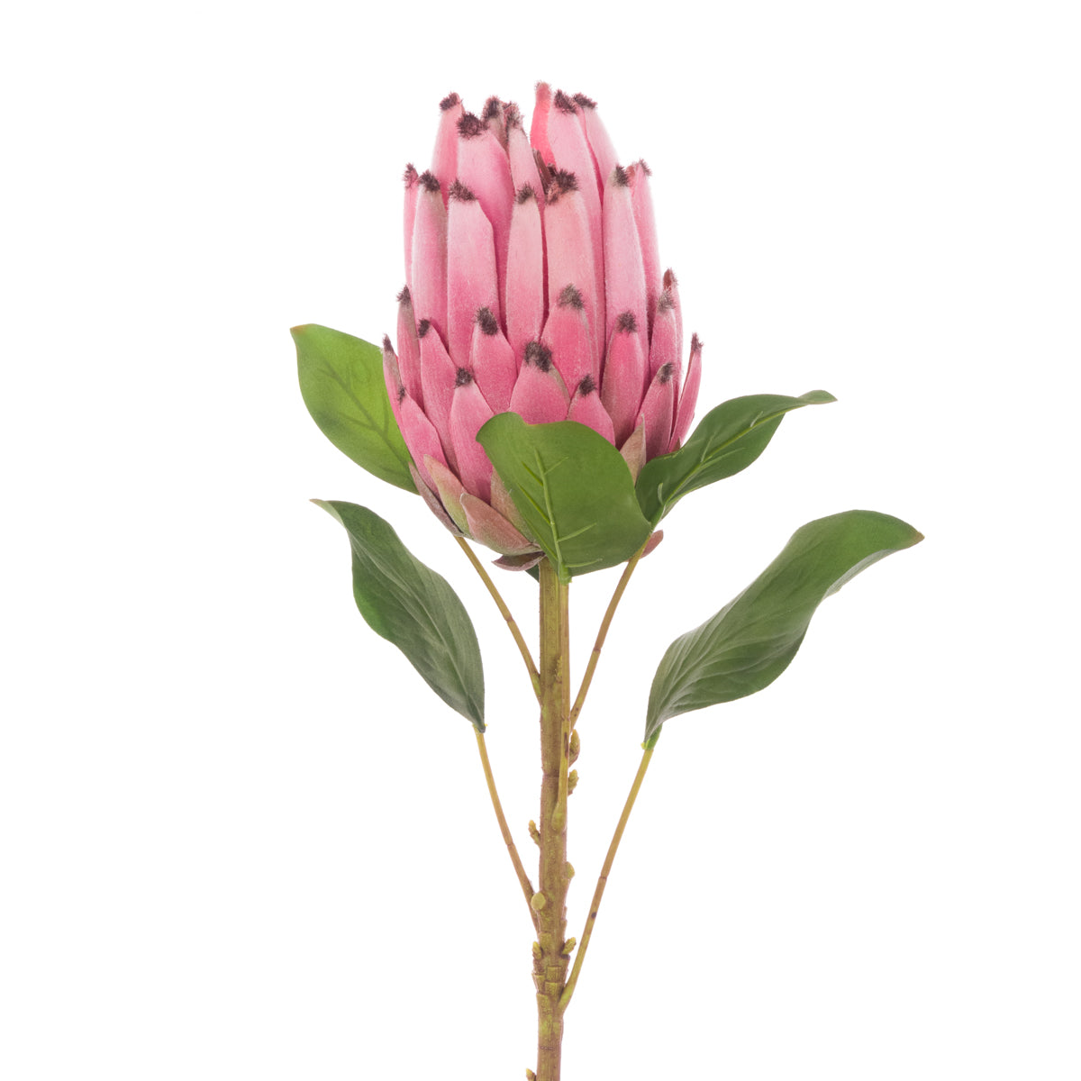Faux Flower Pink Protea with Green Leaves