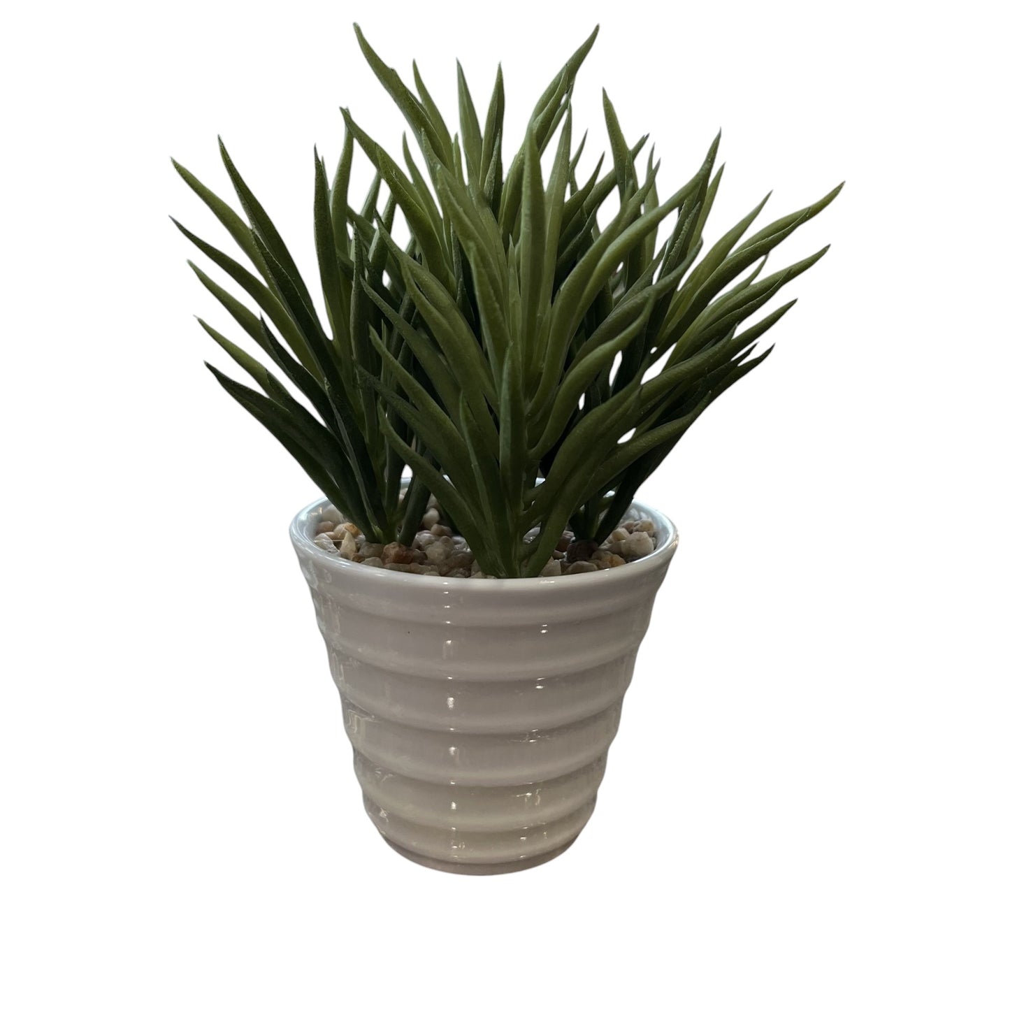 Green Faux Succulent (2 Styles)