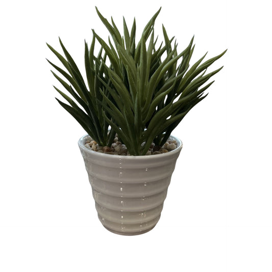 Green Faux Succulent (2 Styles)