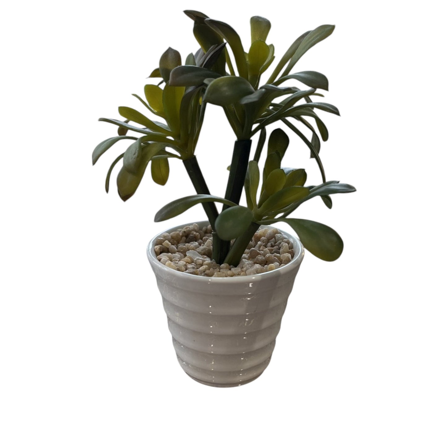 Green Faux Succulent (2 Styles)