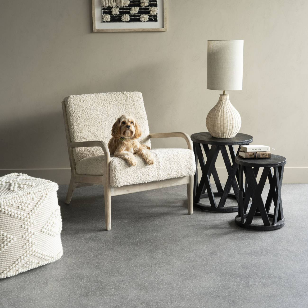 Dog sitting on a cushioned chair in a room with a lamp and framed artwork on the wall.