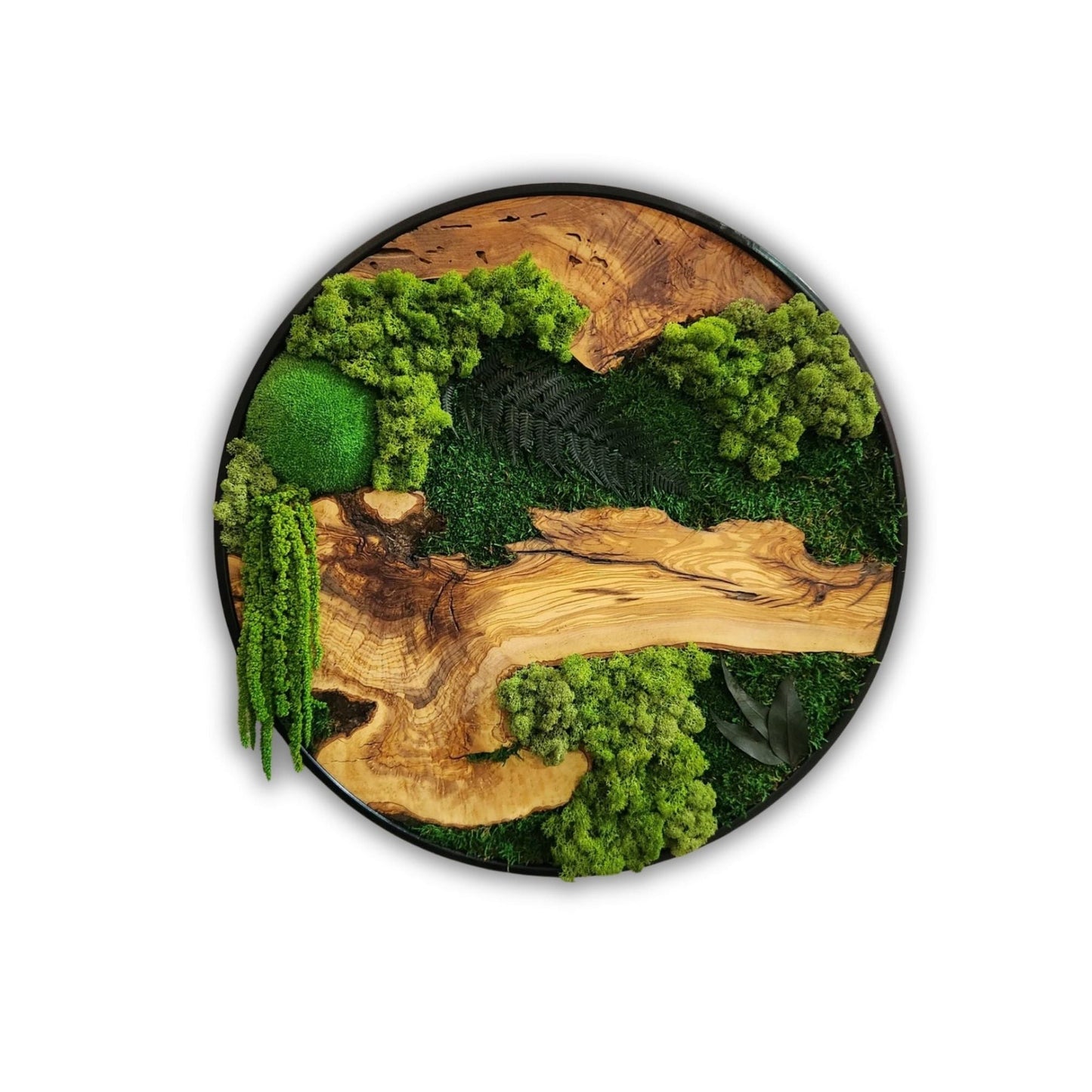 Olive Wood Moss Wall Art