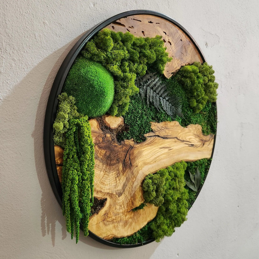 Olive Wood Moss Wall Art