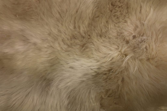 Oyster Regular Sheepskin Hide