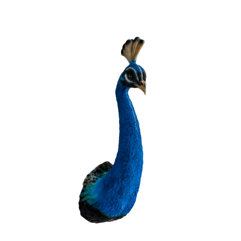 Blue Peacock Head Wall Decoration