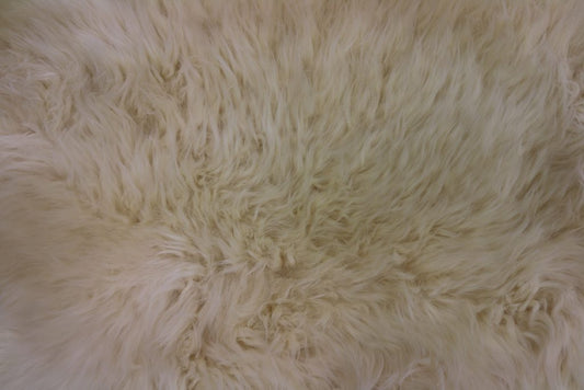 Champagne Regular Sheepskin Hide