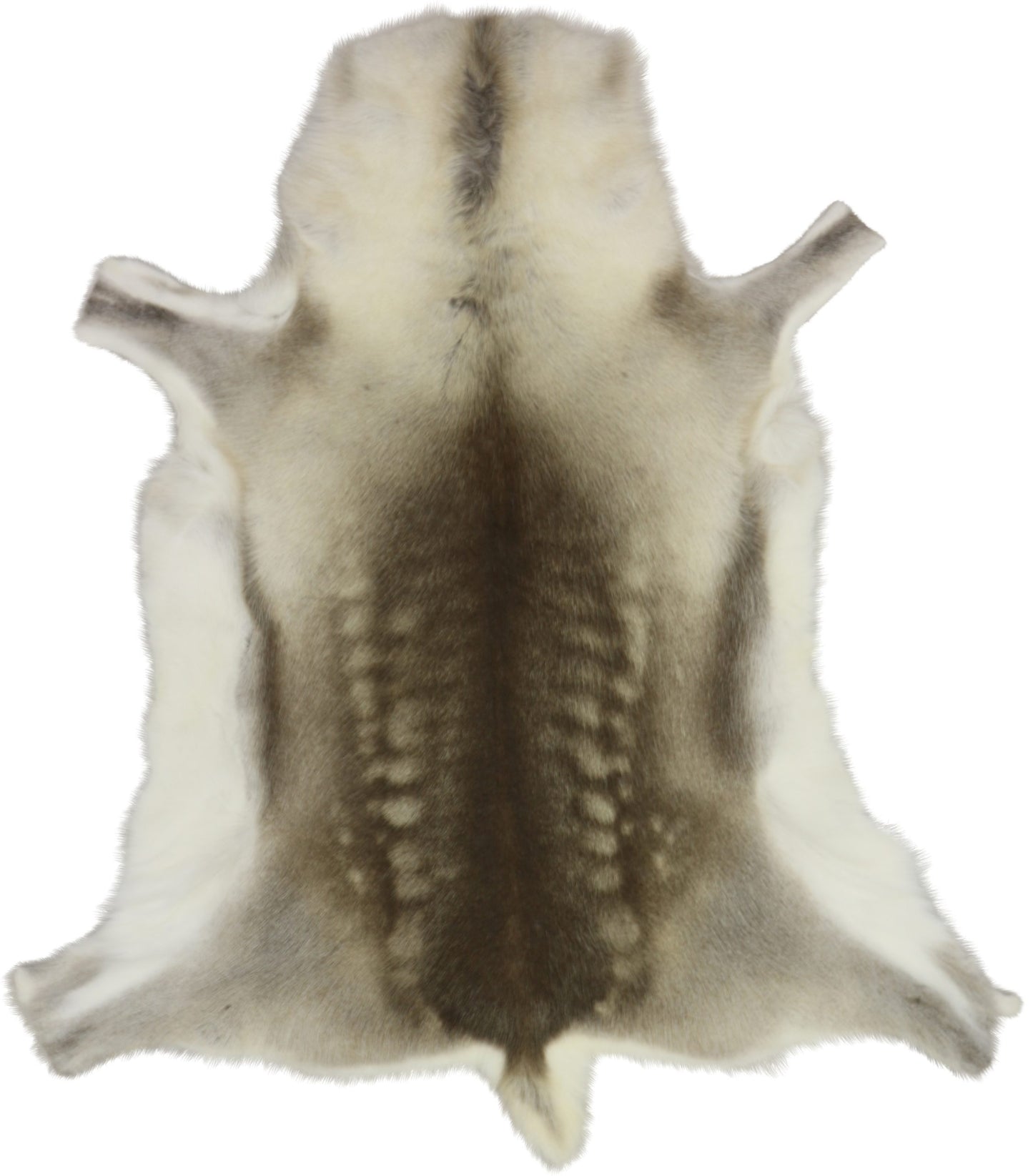 Scandi Reindeer Hide