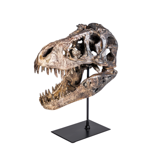 Vintage Style Dinosaur Skull Ornament