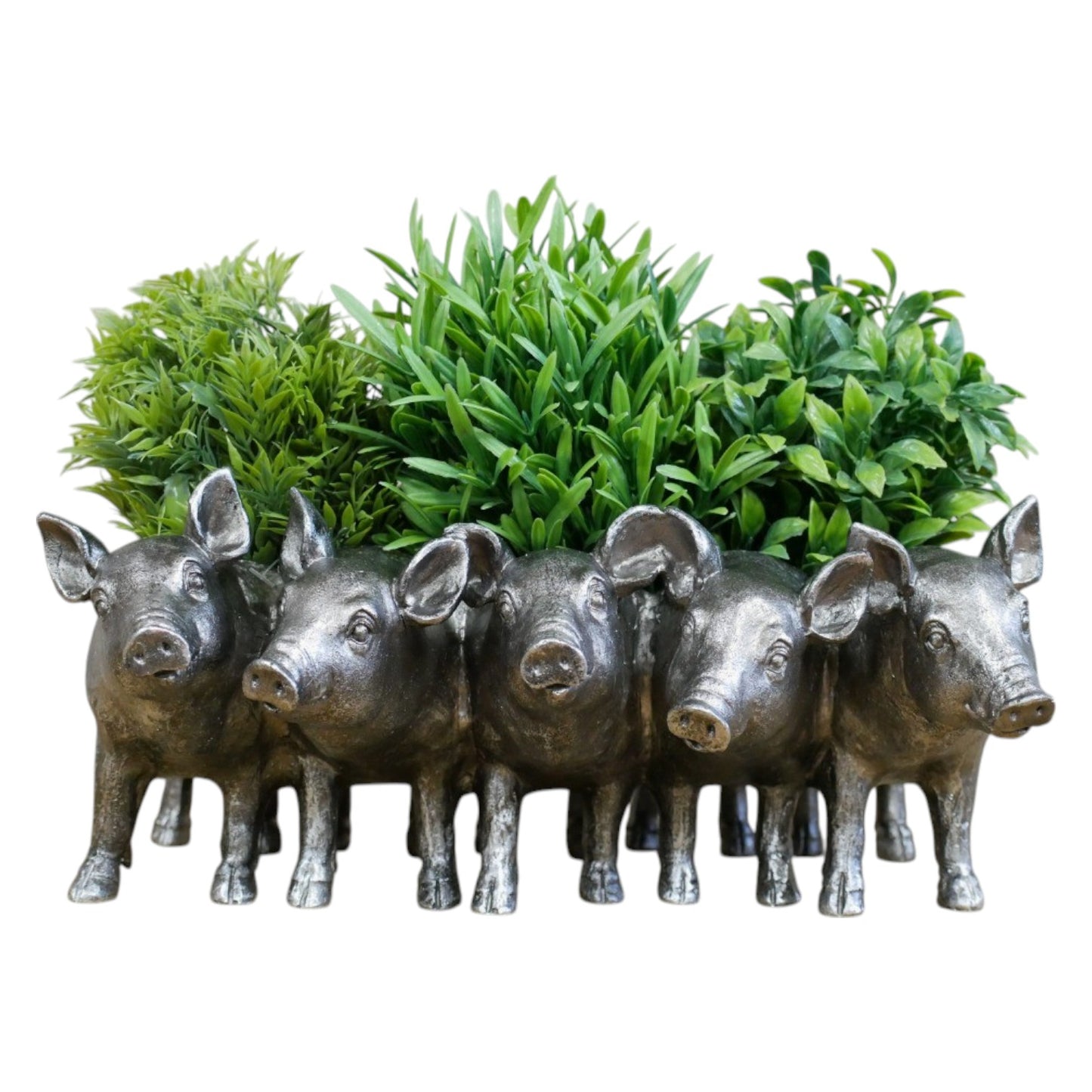 Add an adorable touch to your space with the Silver Piggy Planter that transforms any room or garden into a playful farmhouse haven. Perfect for showcasing your favourite plants, this unique design adds character and a daring twist to rustic decor. Let these adorable piggy companions guard your greenery with style and attitude!