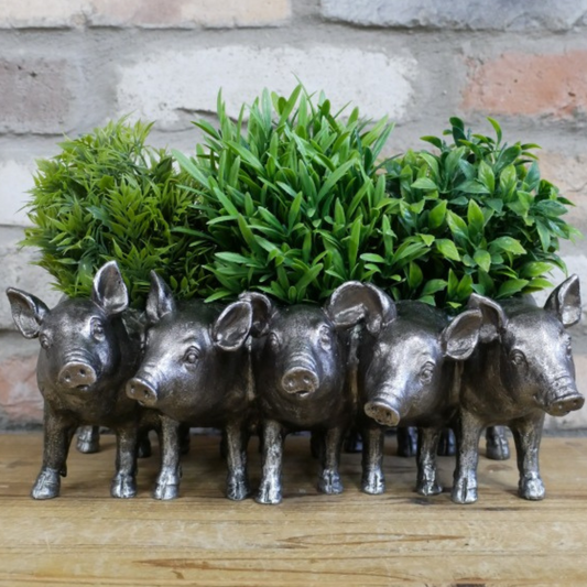 Add an adorable touch to your space with the Silver Piggy Planter that transforms any room or garden into a playful farmhouse haven. Perfect for showcasing your favourite plants, this unique design adds character and a daring twist to rustic decor. Let these adorable piggy companions guard your greenery with style and attitude!