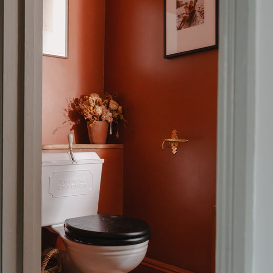 Terracotta that's nicely tarred. This clever colour is the blend of apricot and aged red, giving warmth and energy to a space without feeling dominant.