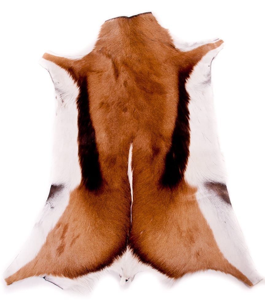 Springbok Deer Hide