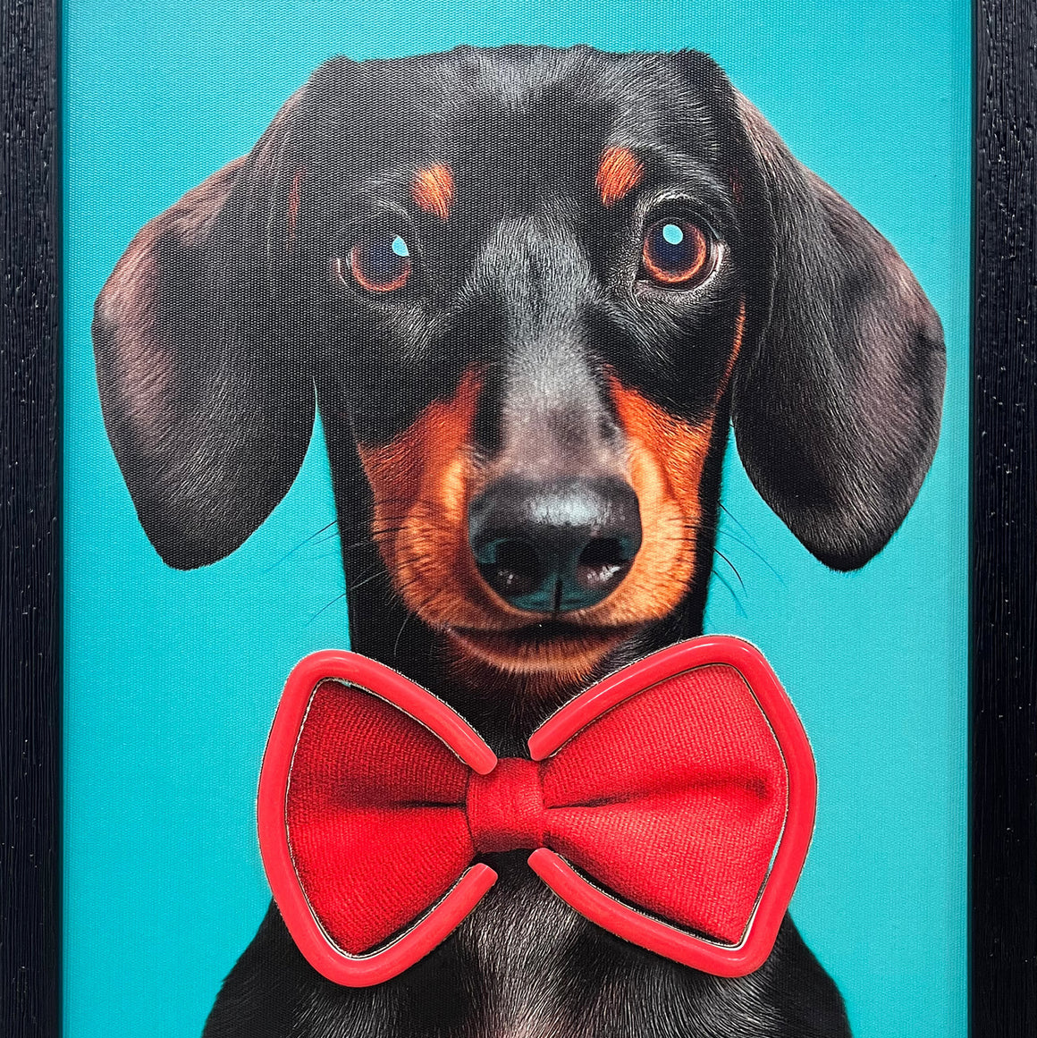 Dog wearing a red bow tie against a blue background