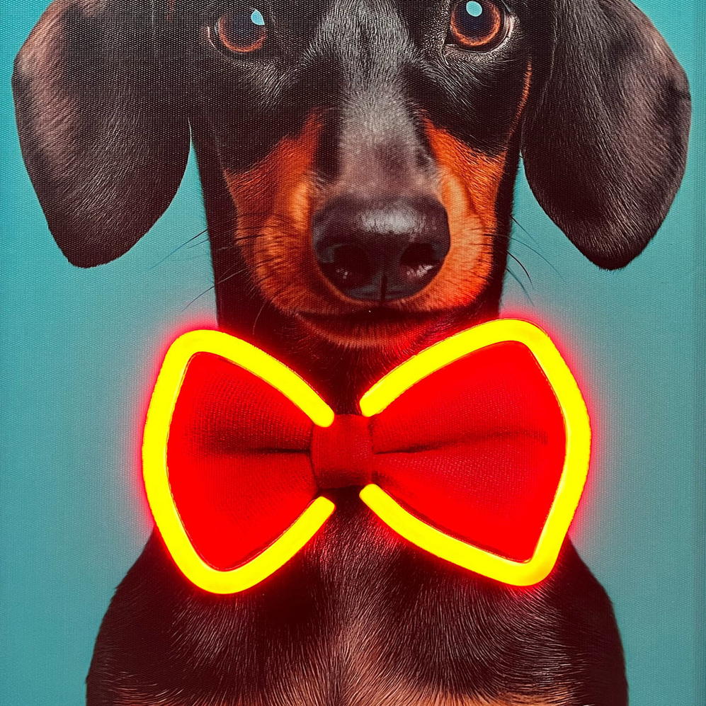 Dog wearing a red bow tie with a black frame and teal background