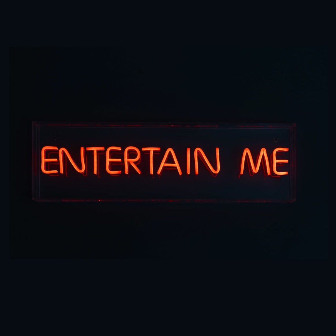 Neon sign with 'ENTERTAIN ME' text on a black background