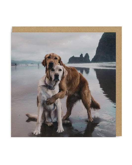 Hugging Dogs Greeting Card