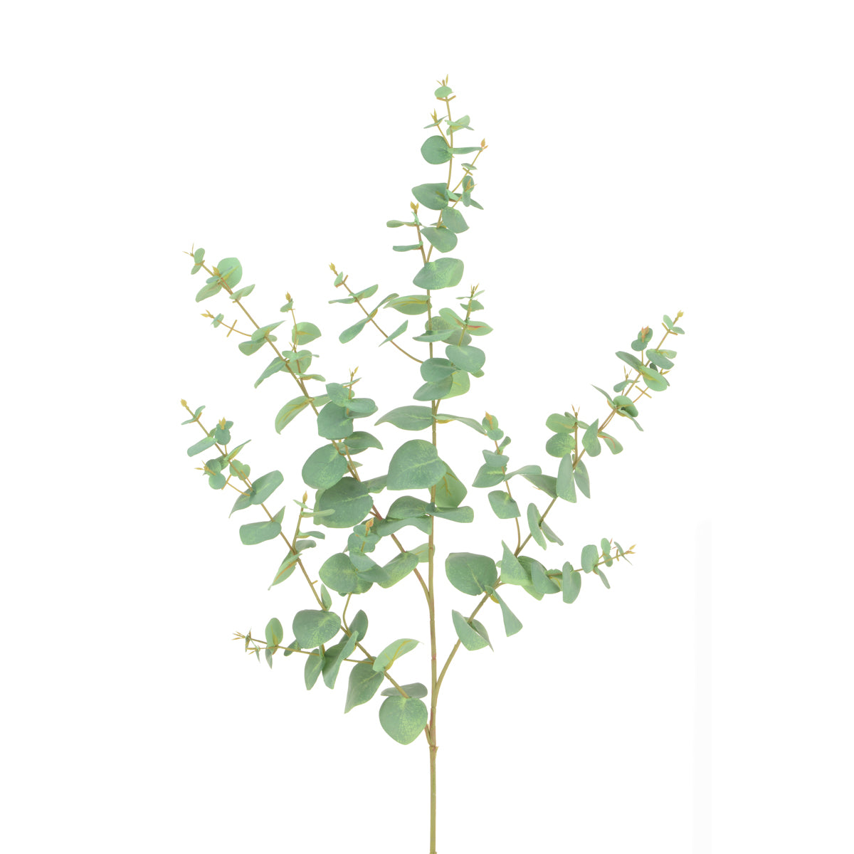 Faux Plant Artificial Green Long Stemmed Eucalyptus 