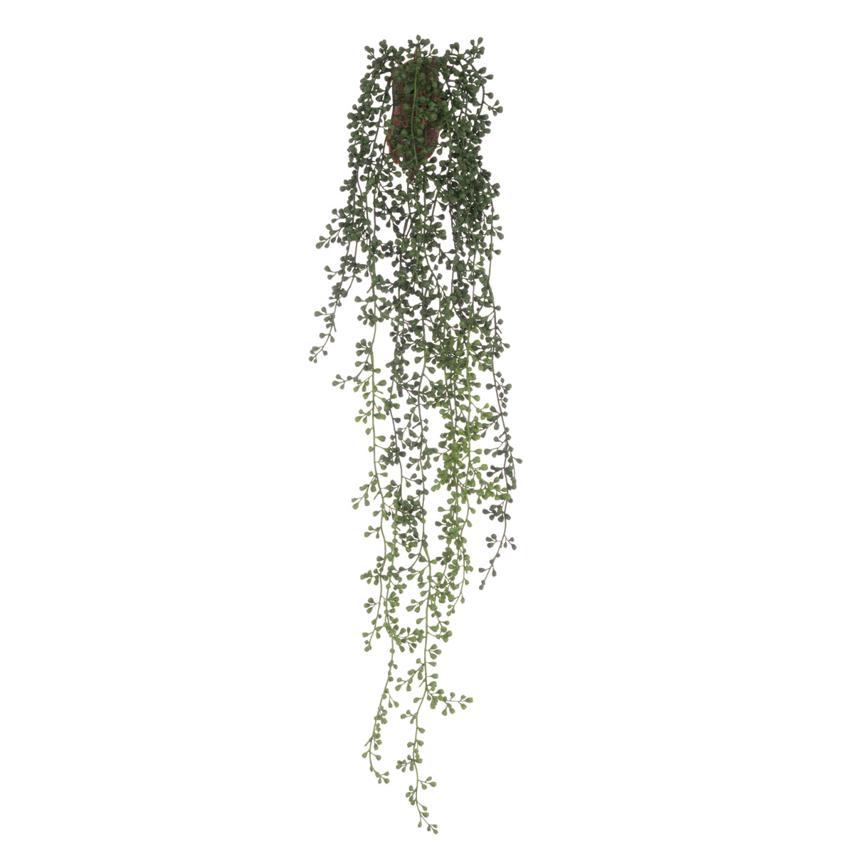 Faux Senecio Wall Hanging Plant