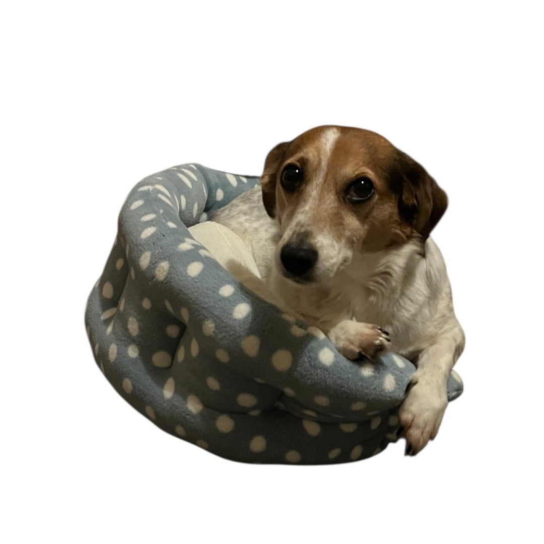 Winnie The Jack Russell