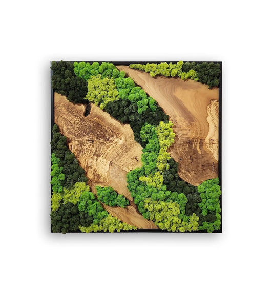 Green Olive Wood Moss Square Wall Art