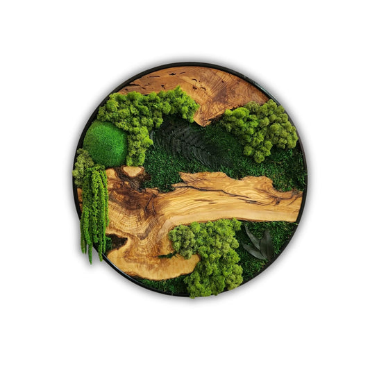 Green Olive Wood Moss Wall Art