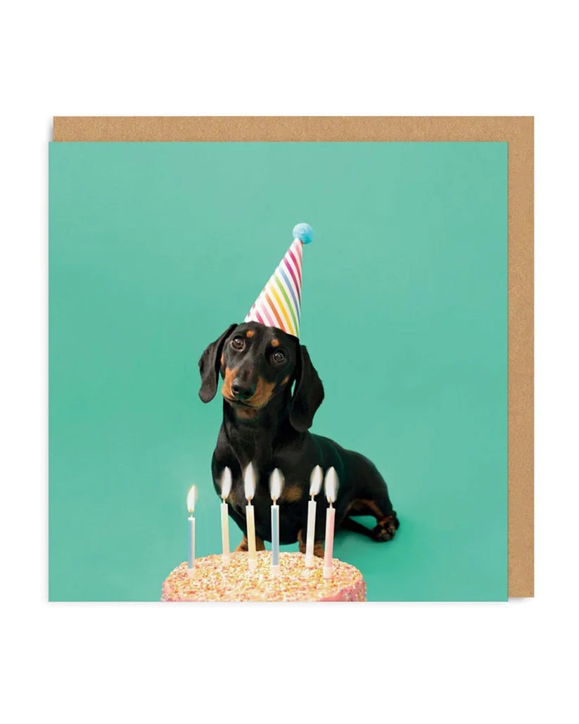 Sausage Dog Birthday Card