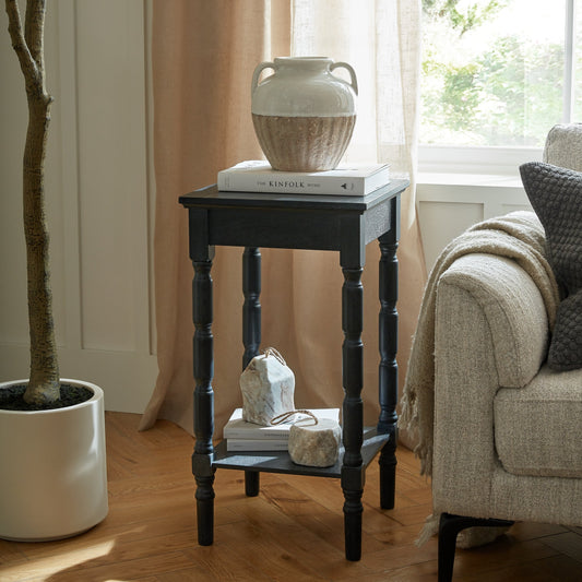 Living room with a small table, plant, and sofa