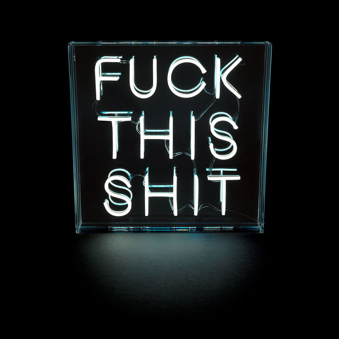 White 'F*ck This Shit' Neon LED Light