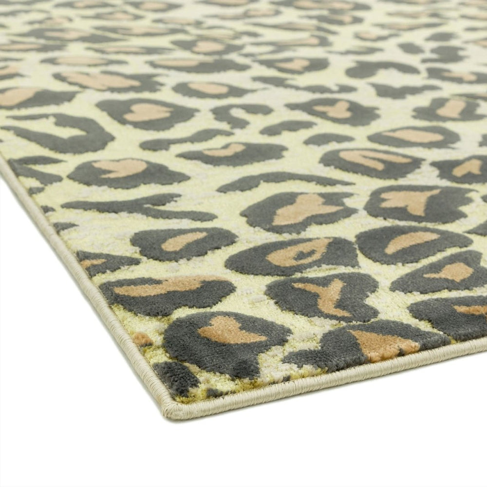 Leopard print rug on a white background