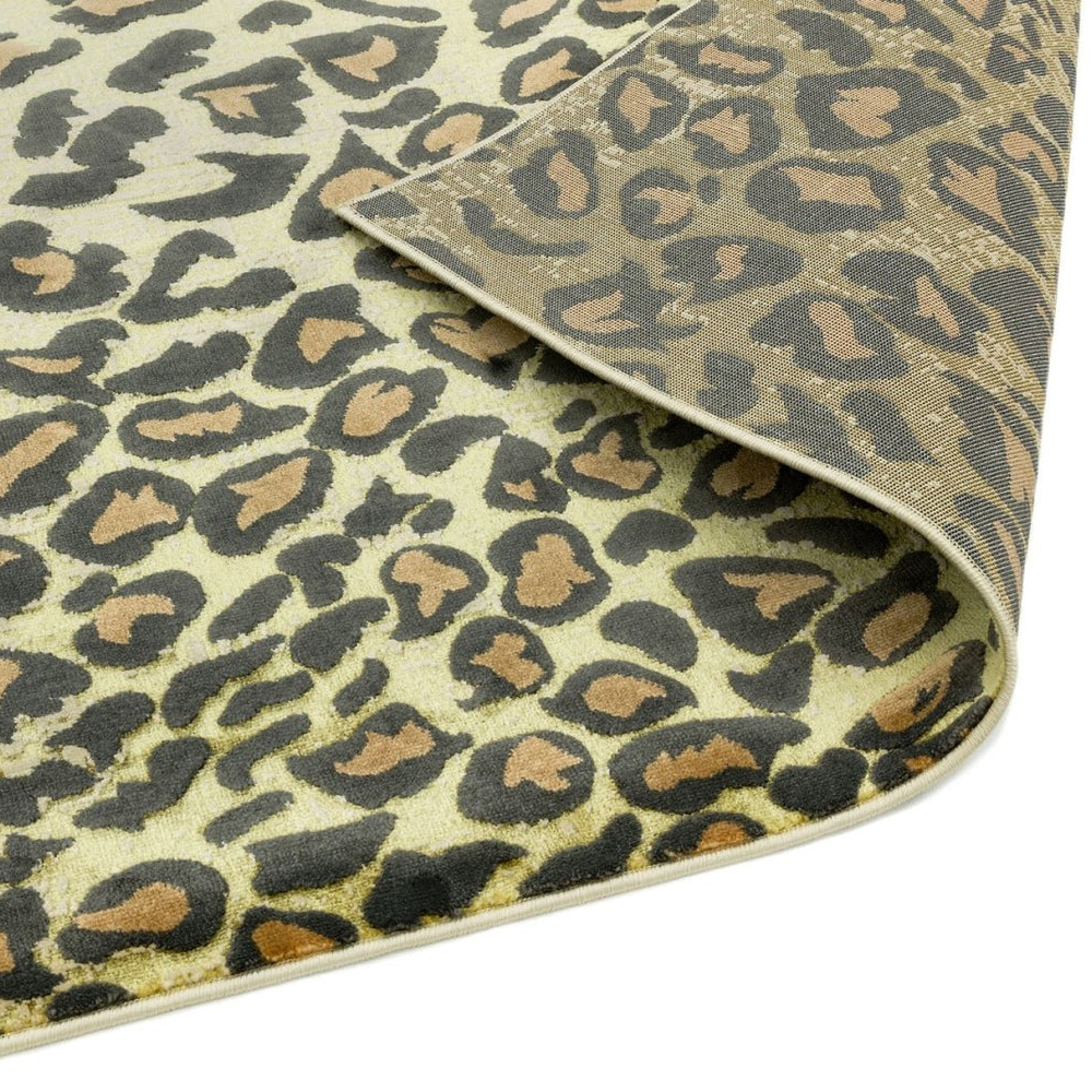 Leopard print pattern on a surface