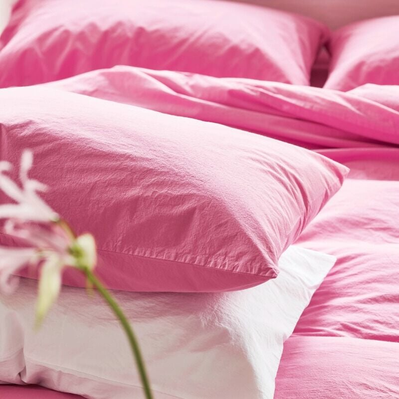 Close-up of pink bedding with a plant in the foreground