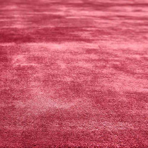 Close-up of a textured red rug with a white background